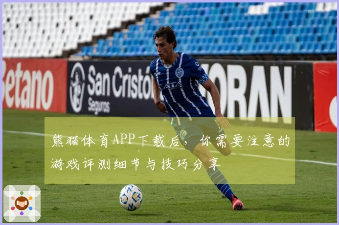 熊猫体育APP下载后，你需要注意的游戏评测细节与技巧分享