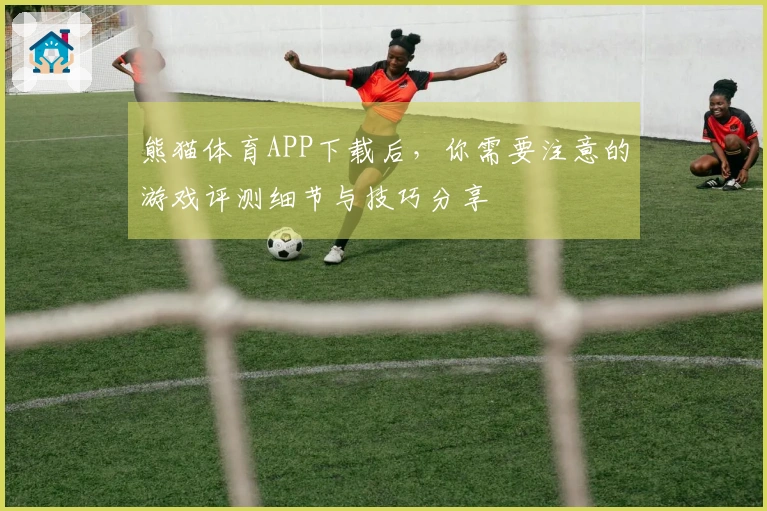 熊猫体育APP下载后，你需要注意的游戏评测细节与技巧分享