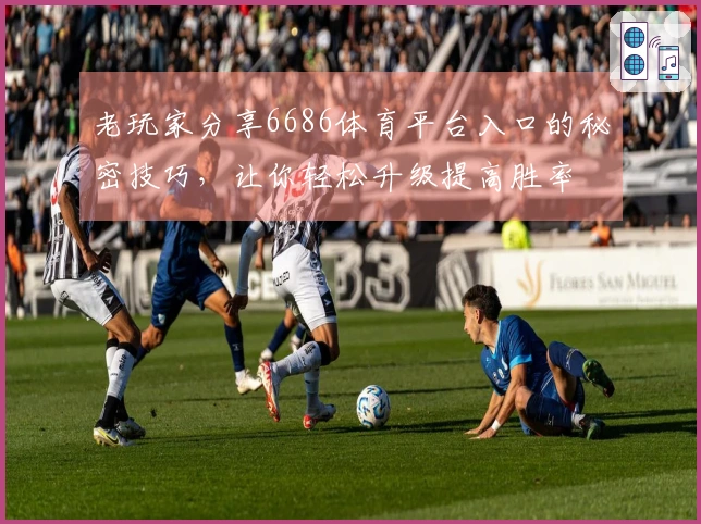 老玩家分享6686体育平台入口的秘密技巧，让你轻松升级提高胜率