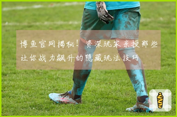 博鱼官网揭秘！资深玩家亲授那些让你战力飙升的隐藏玩法技巧