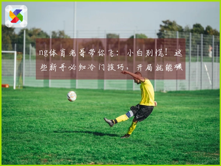 ng体育老哥带你飞：小白别慌！这些新手必知冷门技巧，开局就能碾压菜鸟